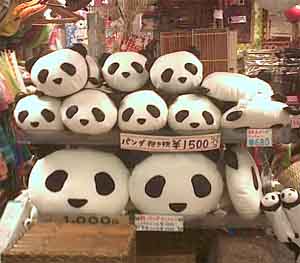 PANDA GO PANDA